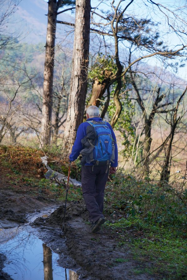 Découvrez les circuits de randonnée incontournables en morbihan
